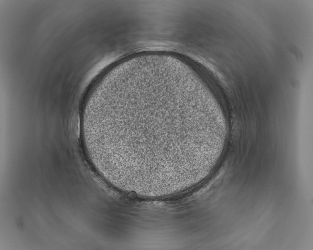 X0000110941317200907171600