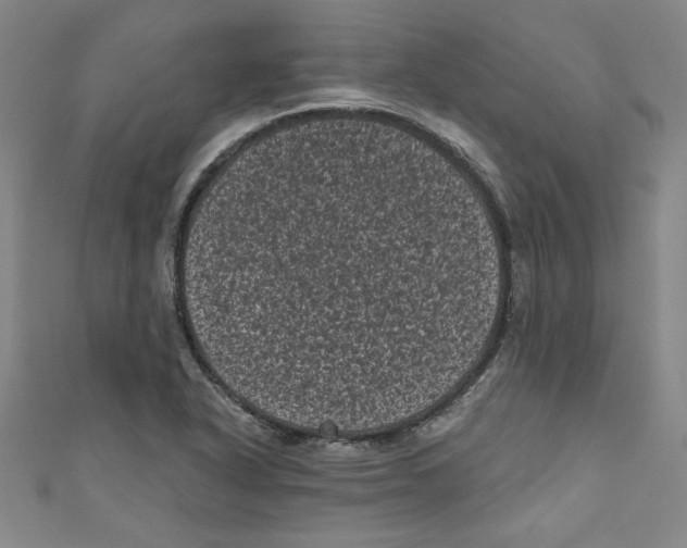 X0000110941318200907171600