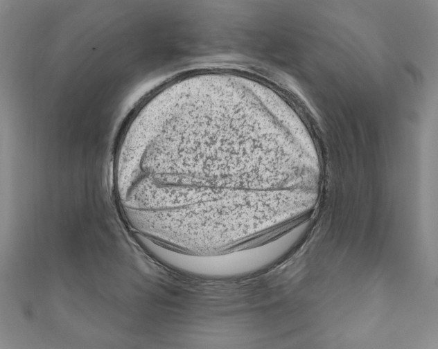 X0000110941320200907171600