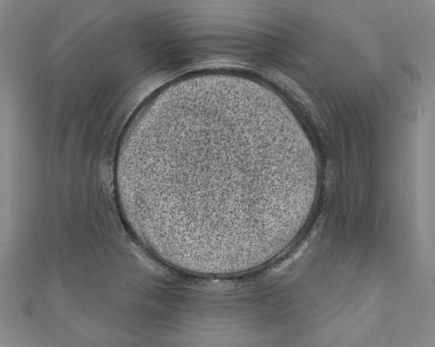 X0000110941321200907171600