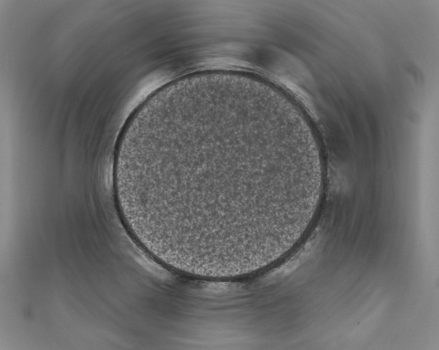 X0000110941322200907171600