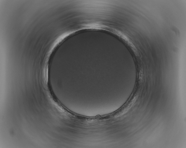 X0000110941323200907171600