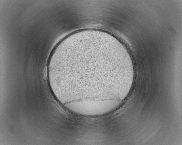 X0000110941324200907171600