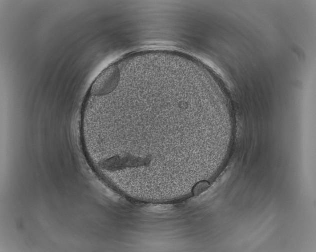 X0000110941325200907171600