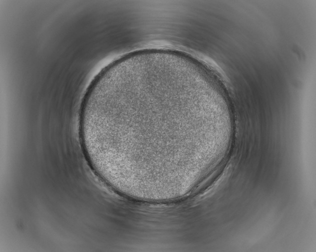 X0000110941326200907171600