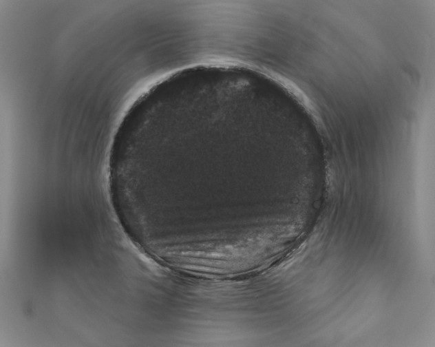 X0000110941327200907171600