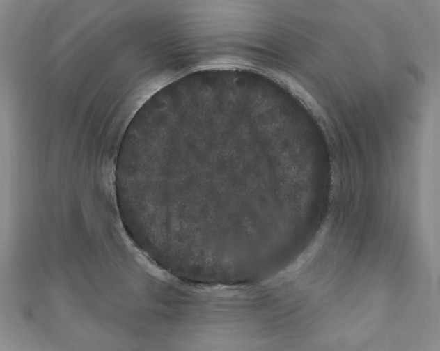 X0000110941329200907171600