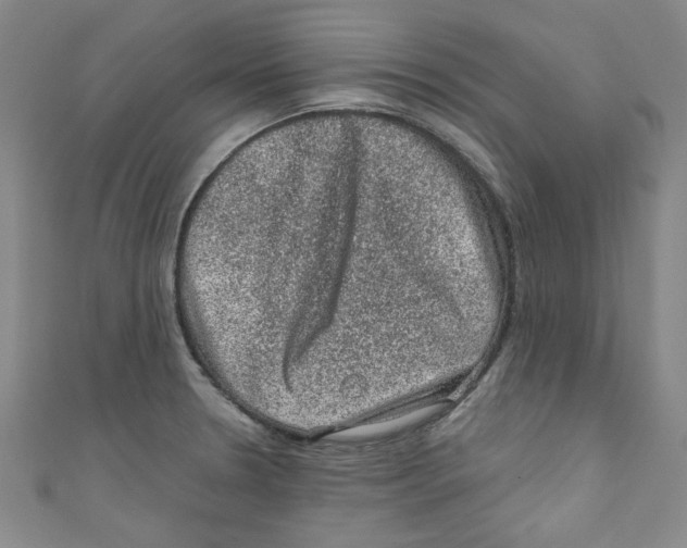 X0000110941330200907171600