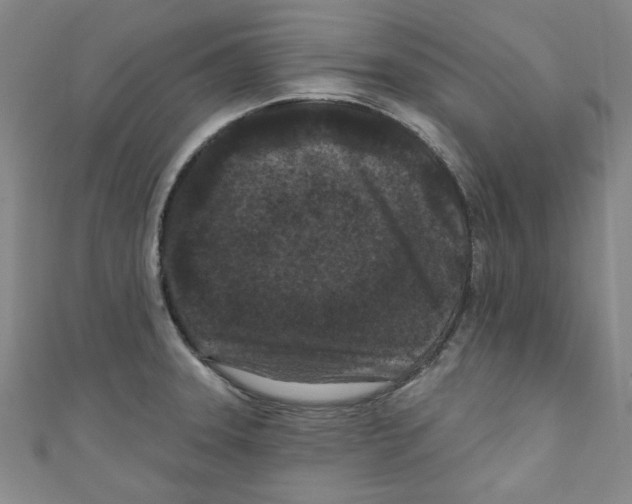 X0000110941331200907171600