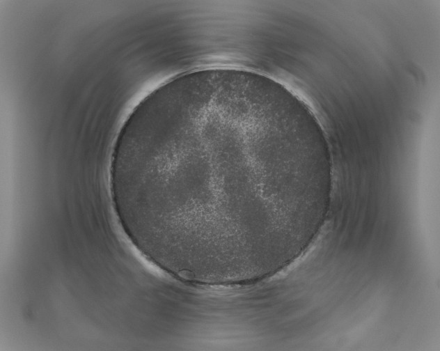 X0000110941333200907171600