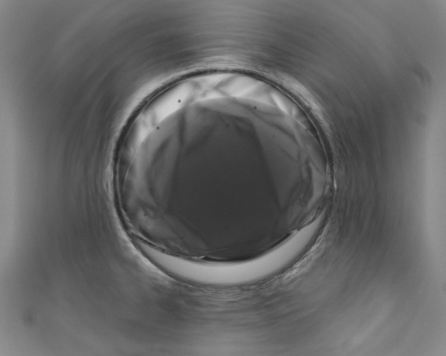 X0000110941334200907171600