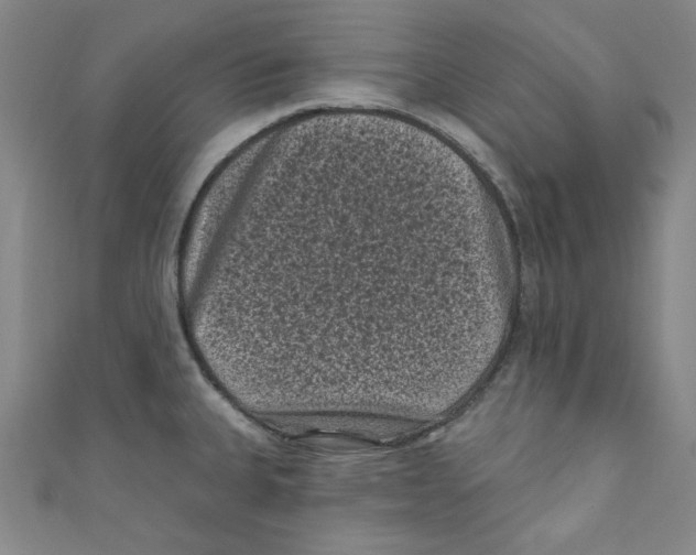 X0000110941335200907171600