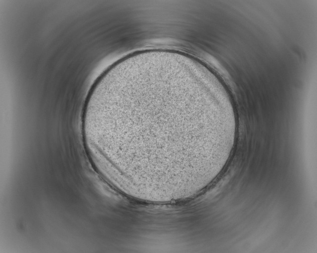 X0000110941336200907171600