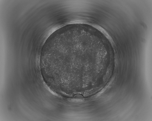 X0000110941337200907171600