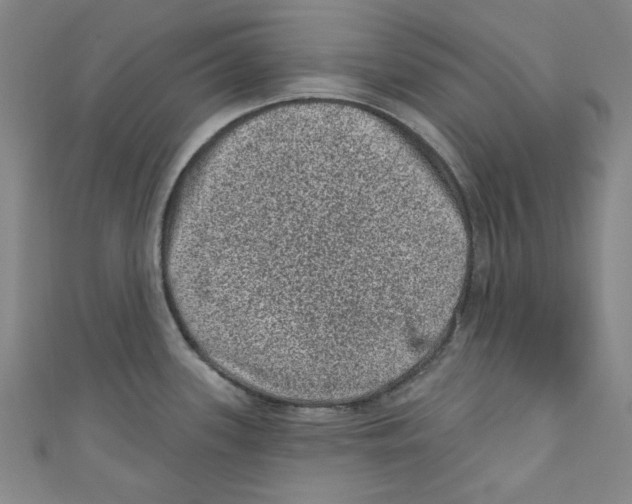 X0000110941339200907171600