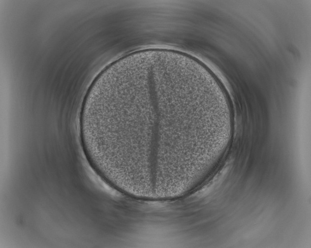 X0000110941341200907171600