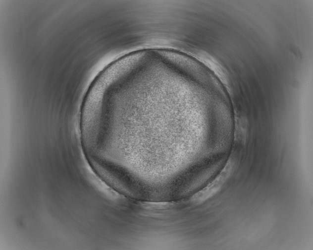 X0000110941342200907171600