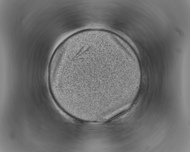 X0000110941343200907171600