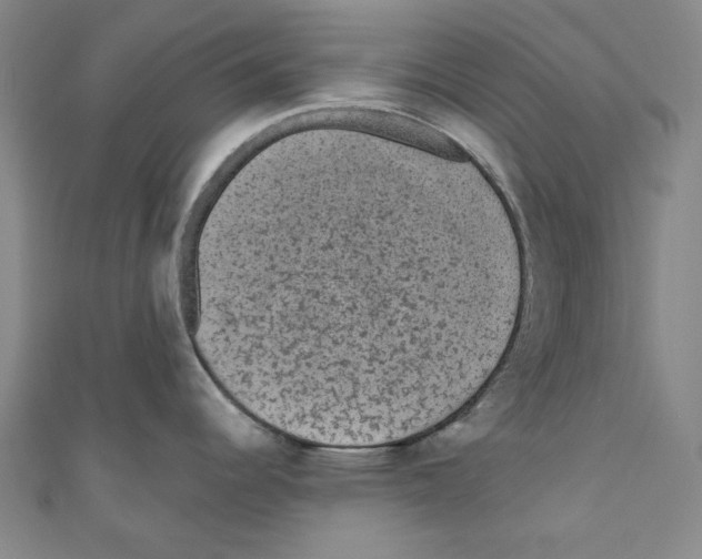 X0000110941344200907171600