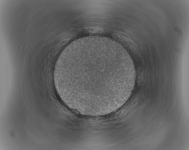 X0000110941345200907171600