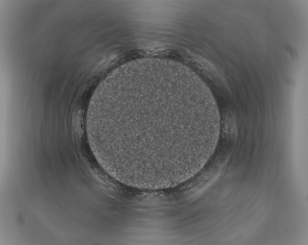 X0000110941346200907171559