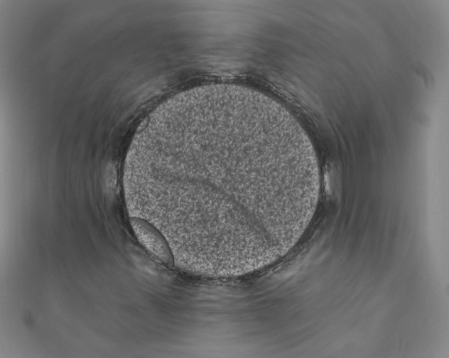 X0000110941347200907171559