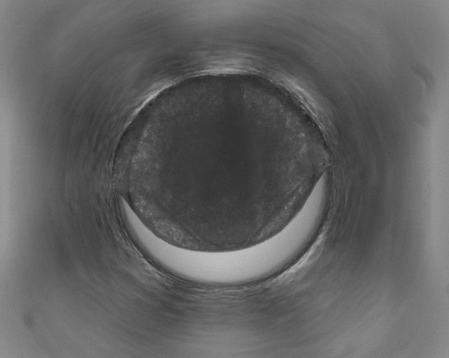 X0000110941353200907171559