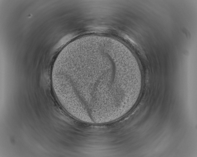 X0000110941354200907171559