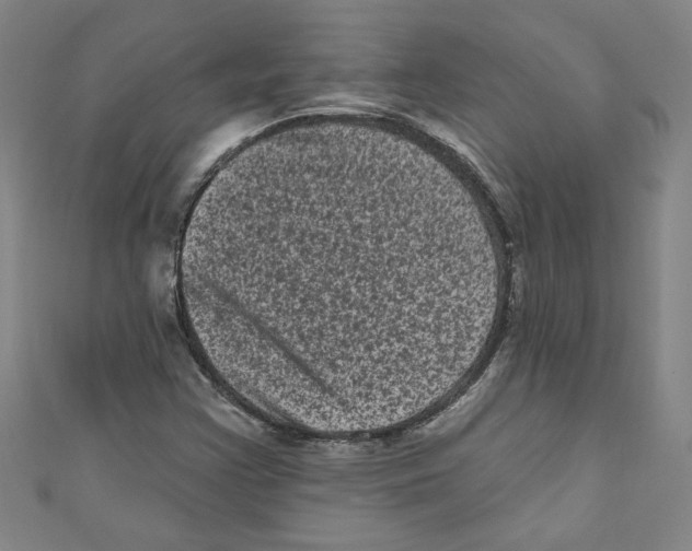 X0000110941355200907171559