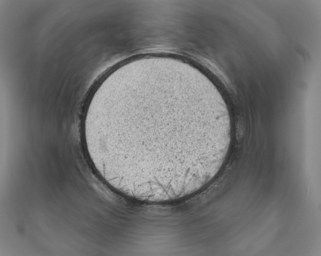X0000110941356200907171559