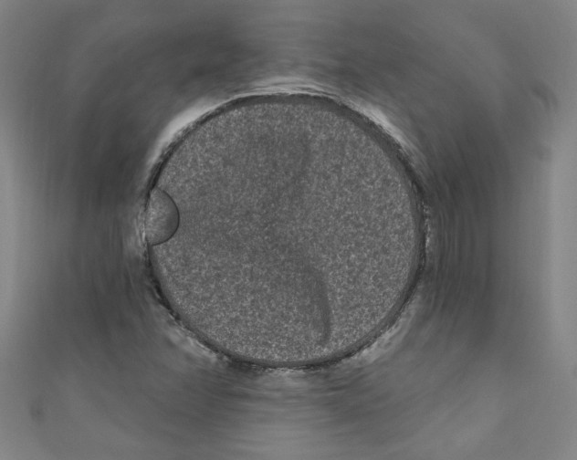 X0000110941358200907171559