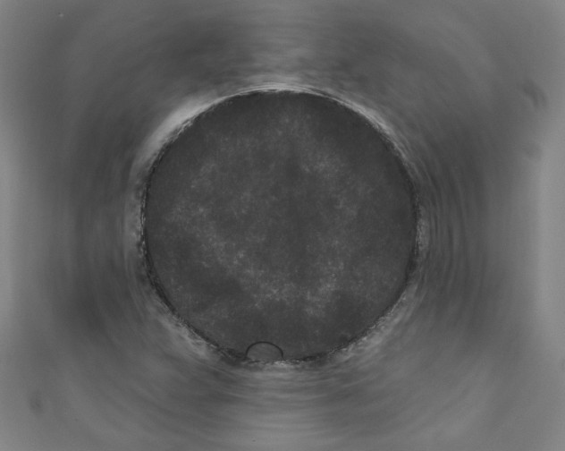 X0000110941359200907171559