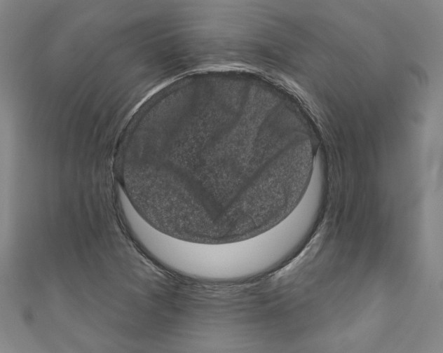 X0000110941361200907171559
