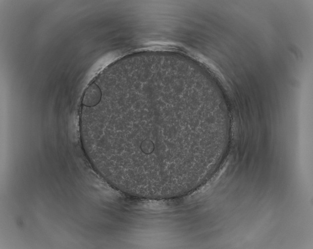 X0000110941362200907171559