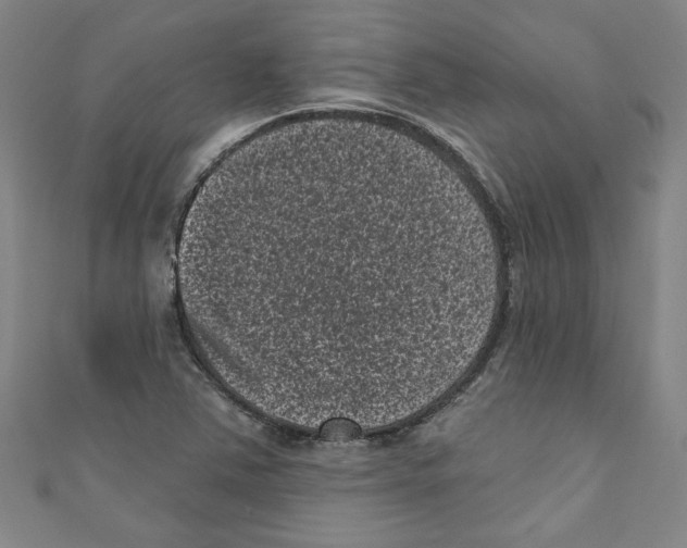 X0000110941363200907171559