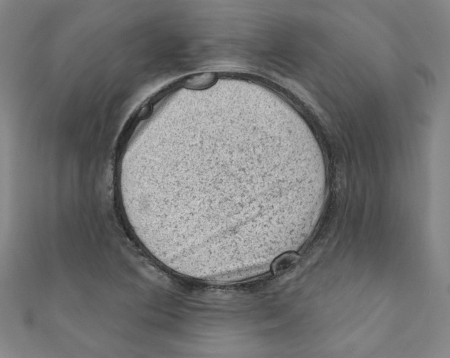 X0000110941364200907171559