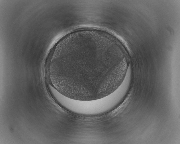 X0000110941365200907171559