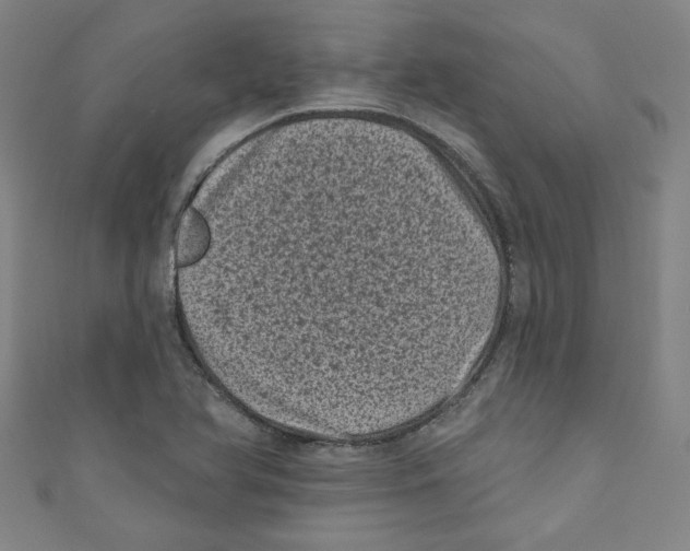 X0000110941366200907171559