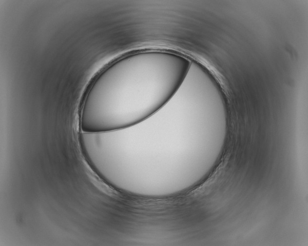 X0000110941372200907171559