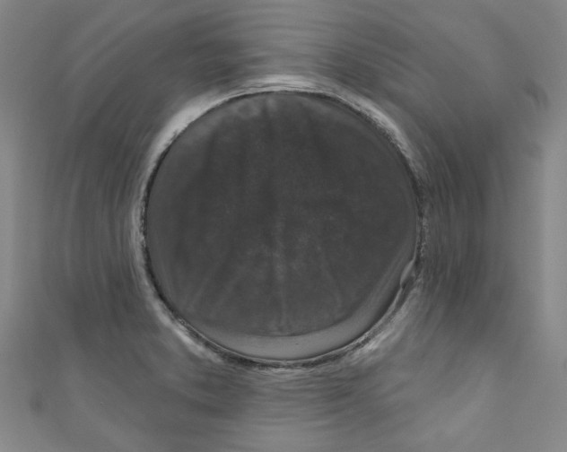 X0000110941373200907171559