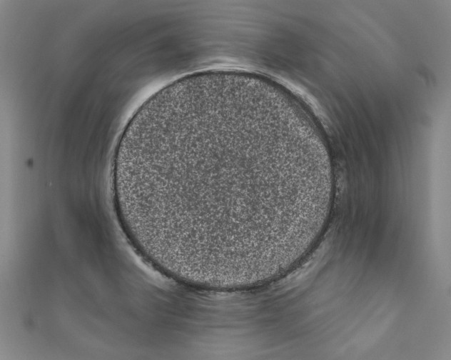 X0000110941375200907171559