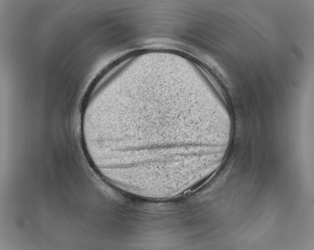 X0000110941376200907171559