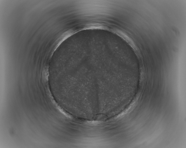 X0000110941377200907171559