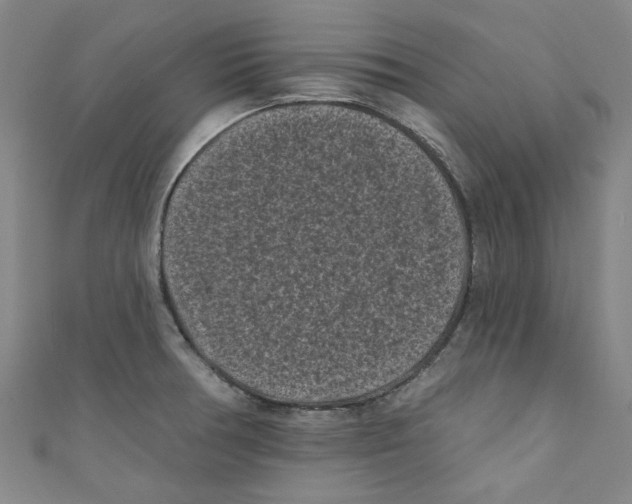 X0000110941378200907171559