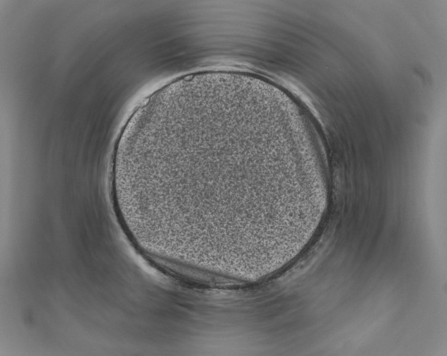 X0000110941379200907171559