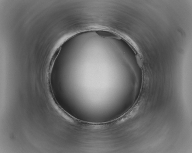 X0000110941381200907171559