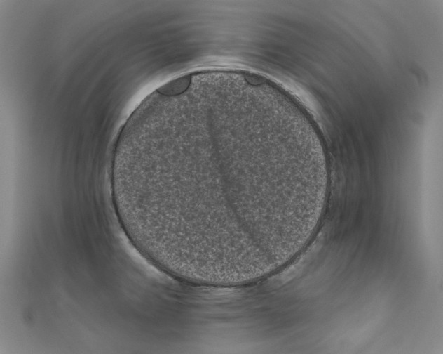 X0000110941382200907171559