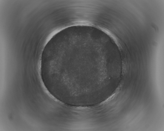 X0000110941383200907171559