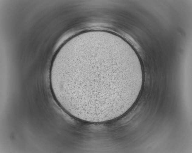 X0000110941384200907171559