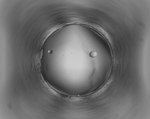 X0000110941385200907171559